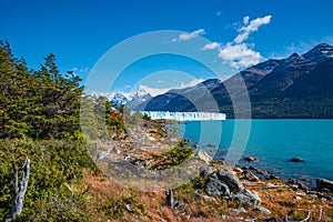 Wonderful view at the huge Perito Moreno glacier in Patagonia in golden Autumn, South America