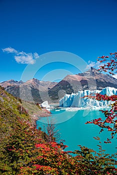 Wonderful view at the huge Perito Moreno glacier in Patagonia in golden Autumn, South America