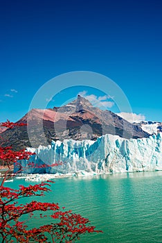 Wonderful view at the huge Perito Moreno glacier in Patagonia in golden Autumn, South America