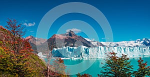 Wonderful view at the huge Perito Moreno glacier in Patagonia in golden Autumn, South America