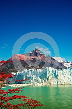 Wonderful view at the huge Perito Moreno glacier in Patagonia in golden Autumn, South America