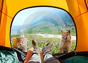 Wonderful view of nature through the open entrance to the tent. The beauty of a romantic hike and camping accompanied by a dog