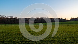 Wonderful view over field and forest at dusk