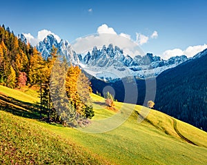 Wonderful view of Santa Maddalena village hills in front of the Geisler or Odle Dolomites Group. Colorful autumn scene of Dolomite