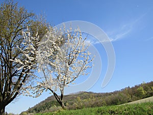 A wonderful view of a wild park in Casalecchio di Reno