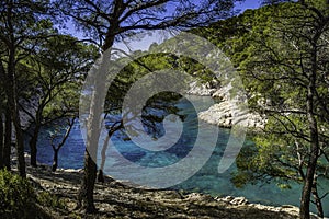 Wonderful viewpoint from the forest, Calanques National Park near Cassis fishing village, Provence