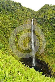 Wonderful Waterfalls Surrounded By Impressive Vegetation