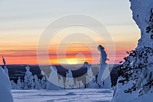 Wonderful winter evening on the fell in Lapland, Riisitunturi