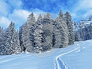 Wonderful winter hiking trails and traces on the fresh alpine snow cover of the Swiss Alps, SchwÃ¤galp mountain pass - Switzerland