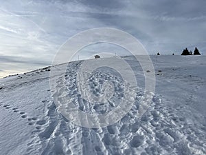 Wonderful winter hiking trails and traces in fresh alpine snow on the slopes of the Alpstein mountain range, UrnÃ¤sch / Urnaesch