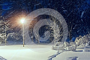 Wonderful winter landscape. Winter scenery, snow covered frosty trees in a night city park glowing.