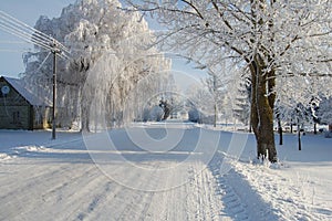 Wonderful winter landscapes, forests, fields, town ,details ...