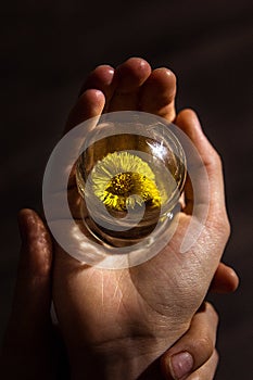 A wonderful wonderful world in the palm of your hand. A piece of nature under glass. The concept of a child`s play with glass