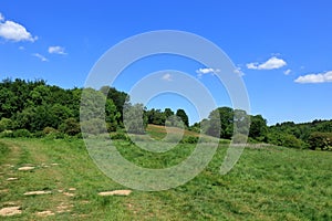 A wonderful woodland landscape scene set in the Westerham Countryside