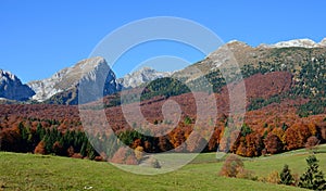 Autumn is a second spring, when each leaf is a flower.