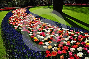 Wonderful world of Flowers in keukenhof gardens Netherlands