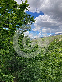 Wonderfull landscape of Genal valley in Sierra de las Nieves National Park