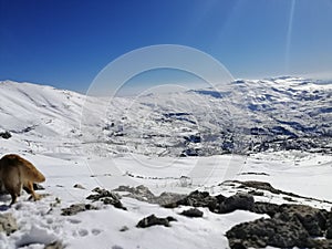 Wonderfull nature view snow mountains