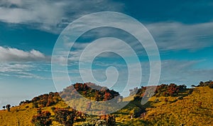 The blue sky and the sunshine of Mount Merbabu, Central Java