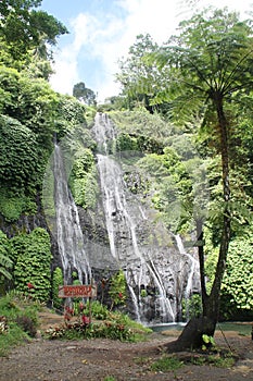 wonderfull waterfall in Bali island