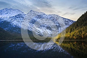 wonderfully calm lake Plansee with sun-lit green autumn forest and white snow-covered mountain