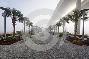 Wonders Way Walkway Dock in Charleston South Carolina in Fog photo