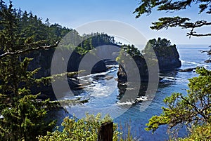 Wondrous Cape Flattery