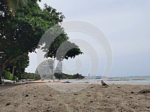 Wong Amat Beach Pattaya Bang Lamung