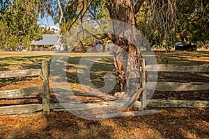 Wonnerup Farm in Western Australia