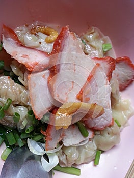 wonton red rost pork photo