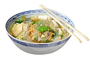 Wonton soup