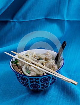 Wonton soup ready to eat in colouful bowl. Calgary Alberta Canada