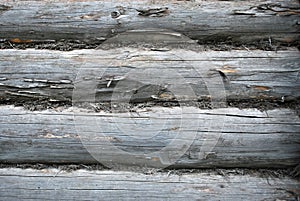 Wood