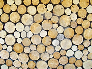 Wood