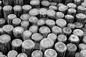 Wood in abstract composition