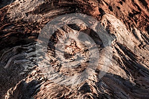 Wood abstract composition