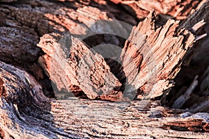 Wood abstract composition