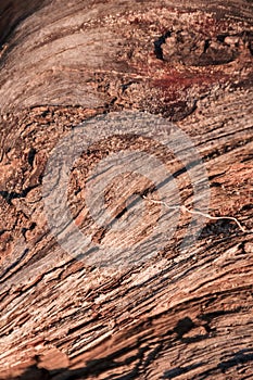 Wood abstract composition