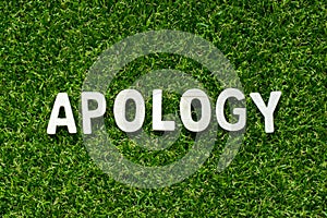 Wood alphabet in word apology on artificial green grass background