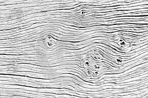 Wood art gray pattern texture with gnarl background