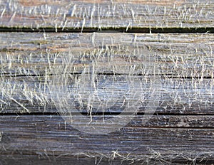 Wood as background