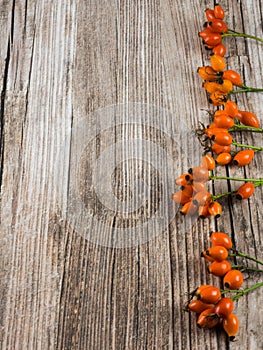 Wood with autumnal fruits to use as background