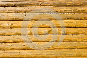 Wood Background