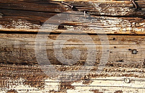 Wood Background