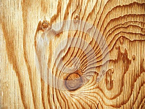 Wood Background