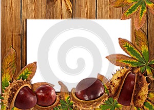 Wood background with autumn chestnuts and leaves