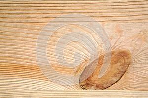 Wood background and bough