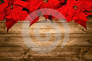 Wood background for Christmas