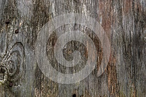 Wood Background Image