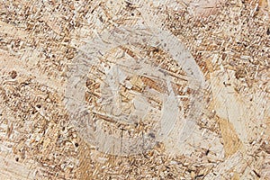 Wood background made from Plywood board